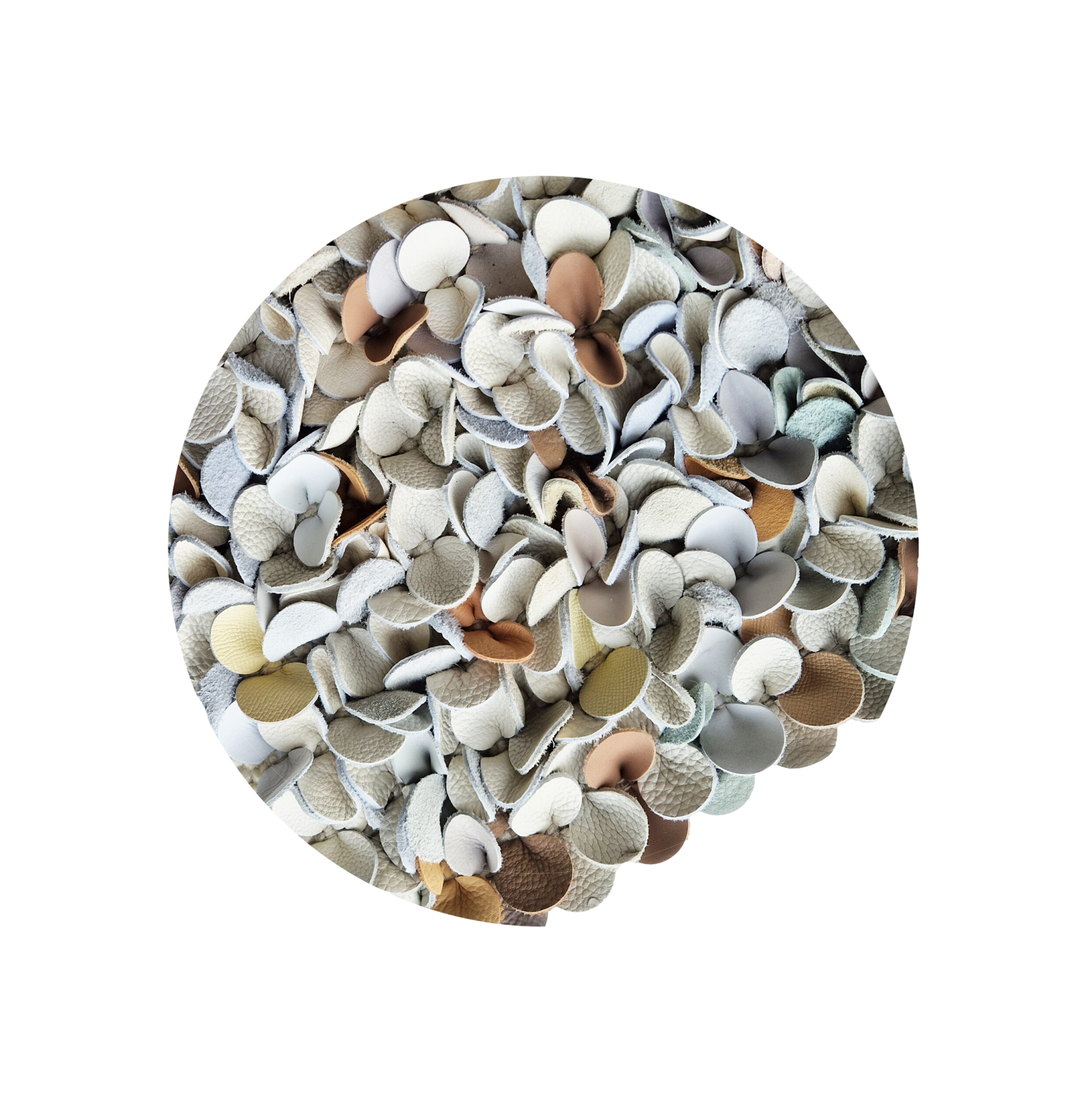 Feraxi-CremeRond-scaled_clipped_rev_1